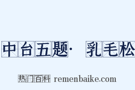 中台五题·乳毛松是什么意思的图片